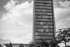 P6220006-0